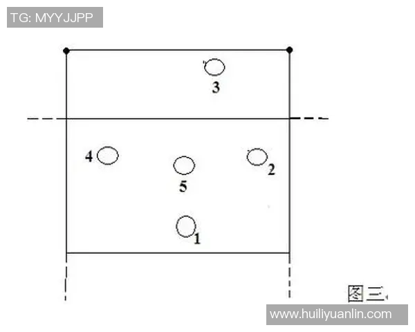 成都排球队战术表现深度分析与数据解读探讨