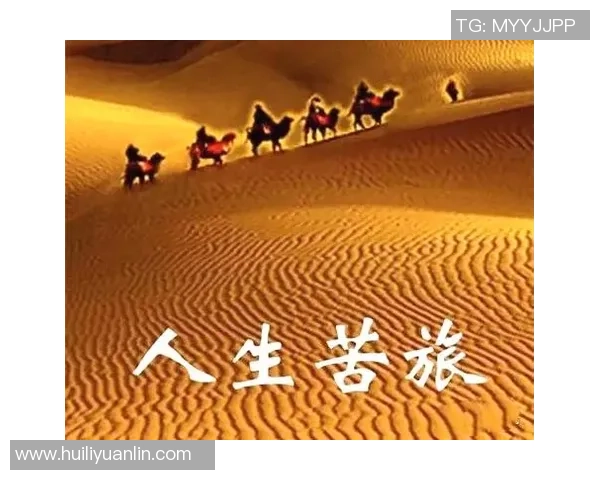 深度对话:李伟如何在足球旅程中追寻梦想与挑战 深度对话:李伟如何在足球旅程中追寻梦想与挑战