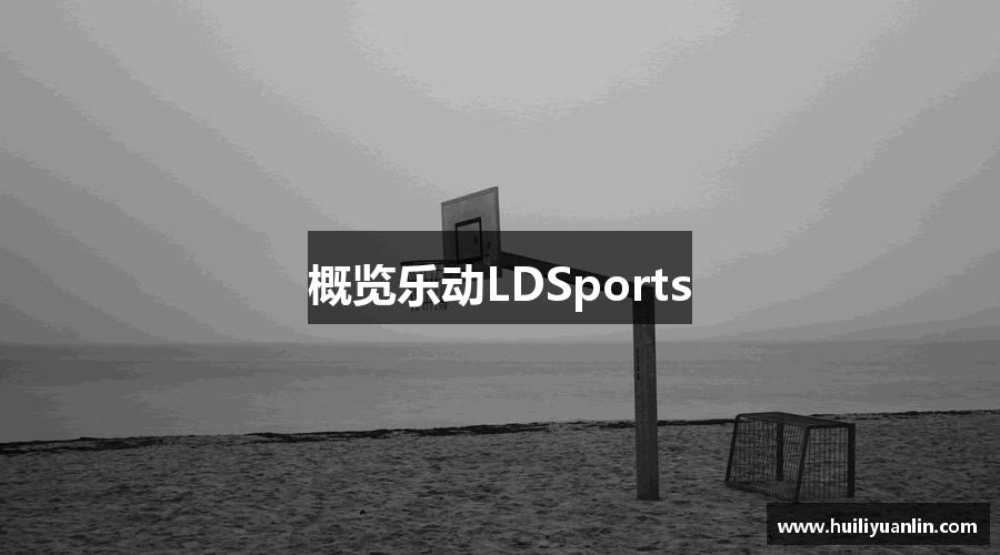 概览乐动LDSports